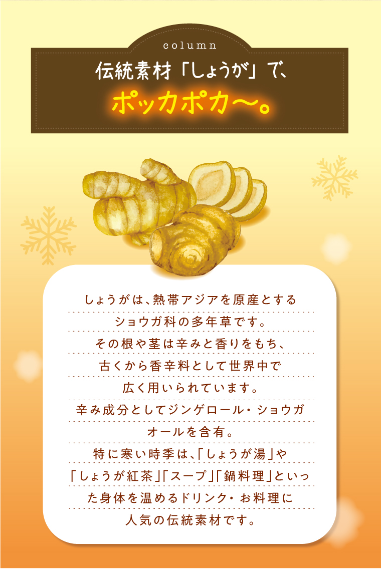 しょうがコラム