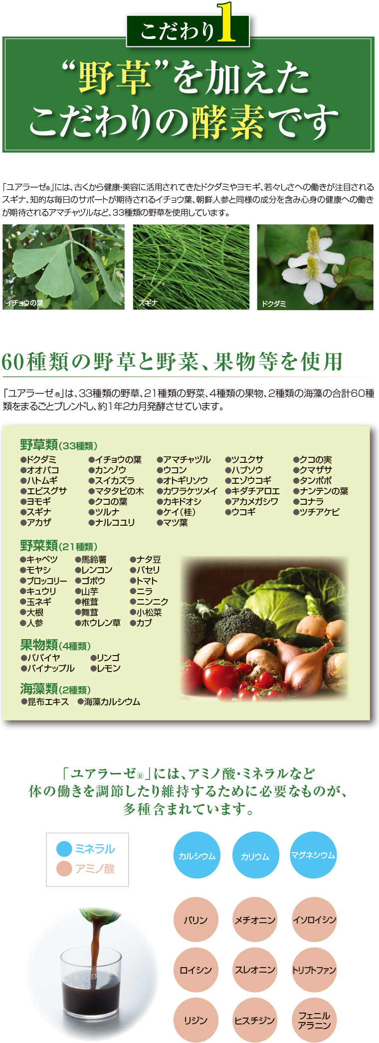 ミヤトウ野草研究所 ユアラーゼ 720ml 単品 送料無料 計量カップ付き 