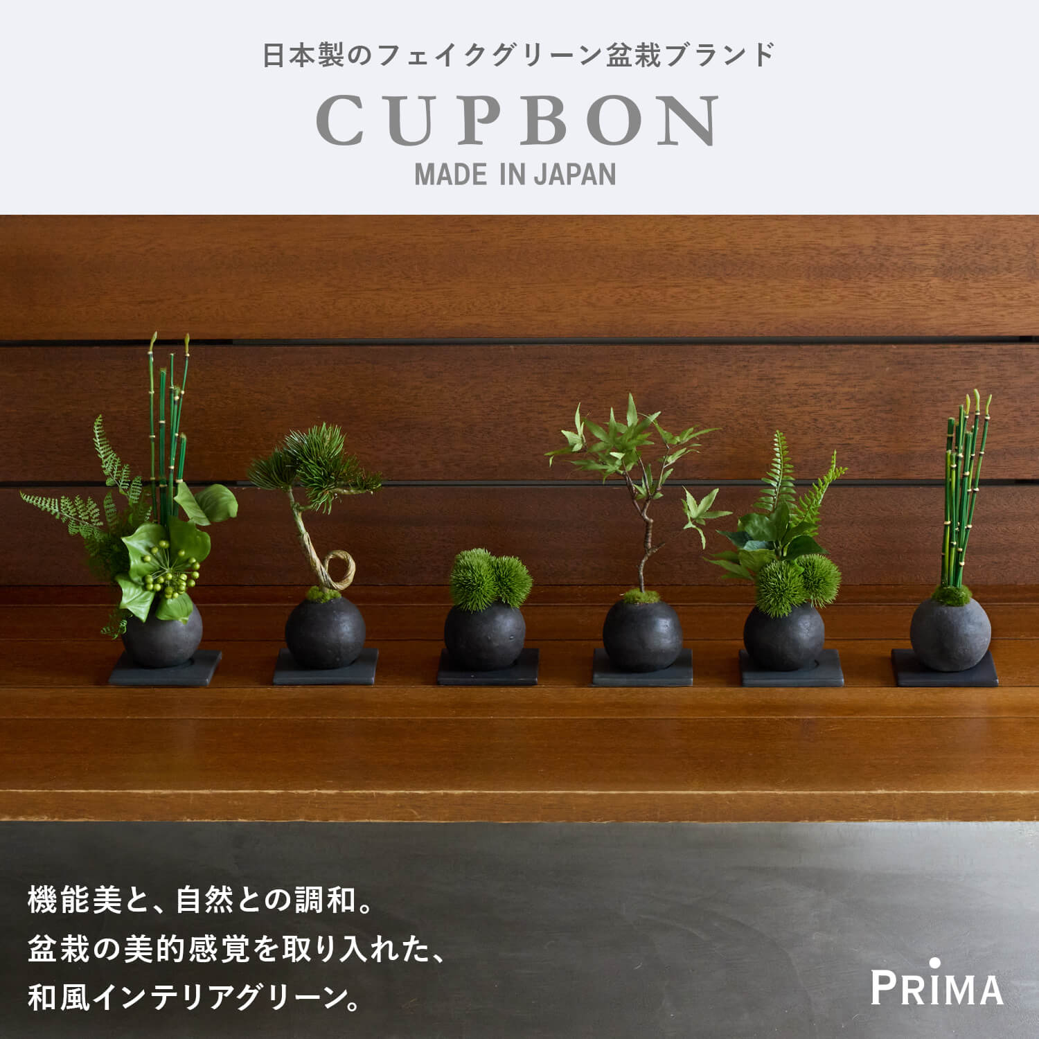 公式】松 吹き流し 小鉢 藍 CUPBON 盆栽 フェイクグリーン | PRIMA