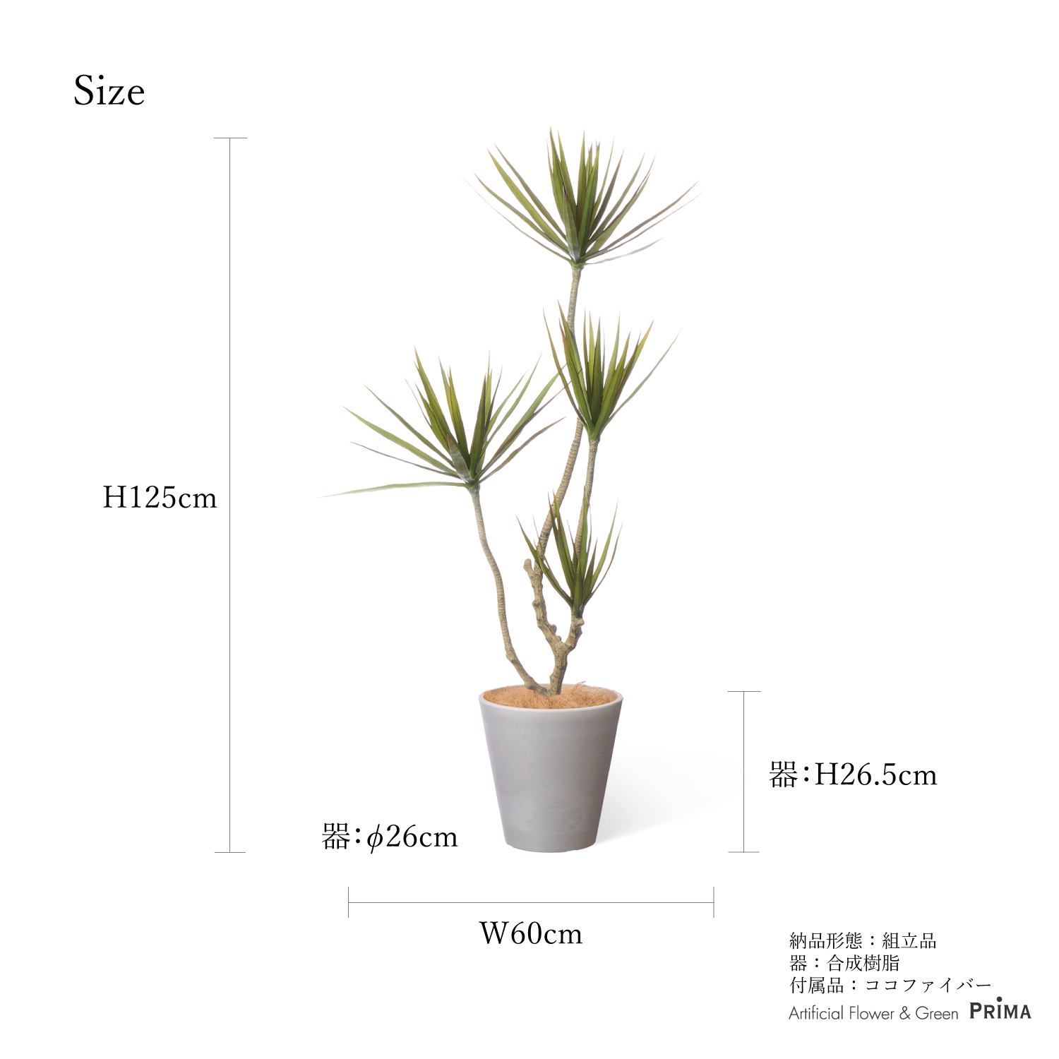 SALE】【公式】ドラセナ PCプランター H125cm 観葉植物 フェイク