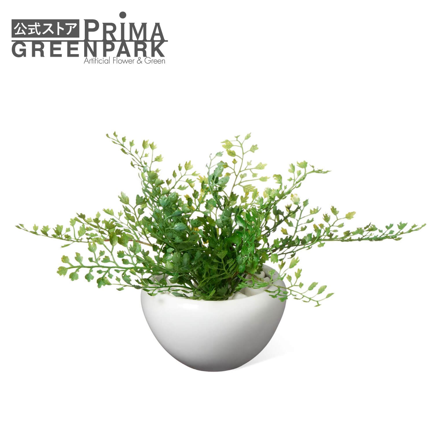 公式】アジアンタム 白陶器S 観葉植物 フェイクグリーン | GREENPARK
