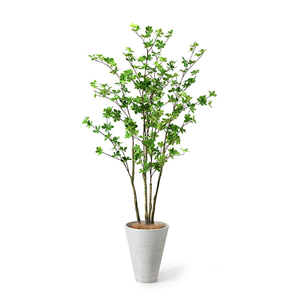【公式】ドウダンツツジ GWプランター H165cm 観葉植物 フェイクグリーン 【別倉庫直送品】 | GREENPARK 人工観葉植物 造花 おしゃれ リアル_1