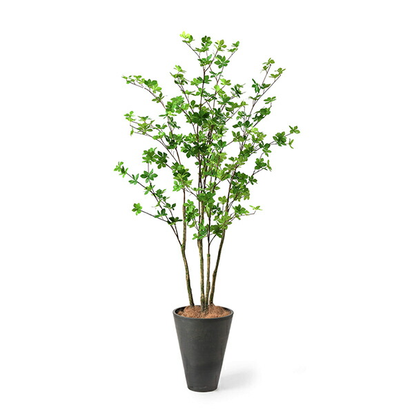 【公式】ドウダンツツジ GWプランター H165cm 観葉植物 フェイクグリーン 【別倉庫直送品】 | GREENPARK 人工観葉植物 造花 おしゃれ リアル_2