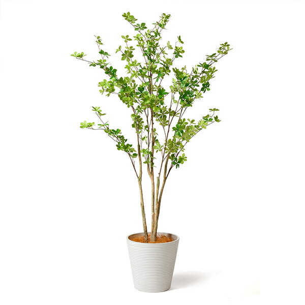 【公式】ドウダンツツジ GWプランター H165cm 観葉植物 フェイクグリーン 【別倉庫直送品】 | GREENPARK 人工観葉植物 造花 おしゃれ リアル_3