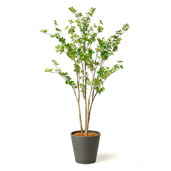 【公式】ドウダンツツジ GWプランター H165cm 観葉植物 フェイクグリーン 【別倉庫直送品】 | GREENPARK 人工観葉植物 造花 おしゃれ リアル_4