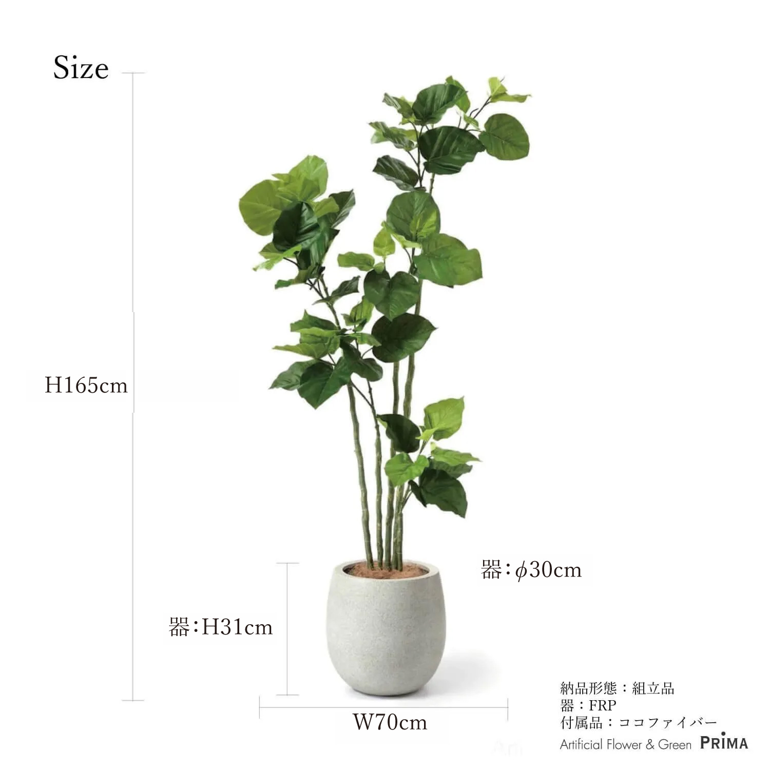公式】ウンベラータ エッグポット H165cm 観葉植物 フェイクグリーン
