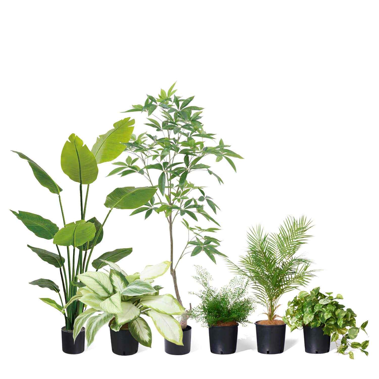 公式】ミックスN インナーポット 6個セット 観葉植物 フェイクグリーン