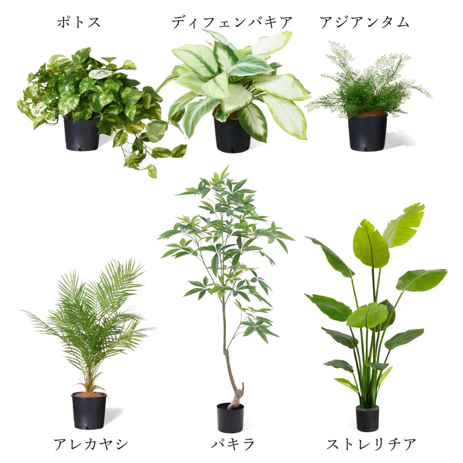 公式】ミックスN インナーポット 6個セット 観葉植物 フェイクグリーン