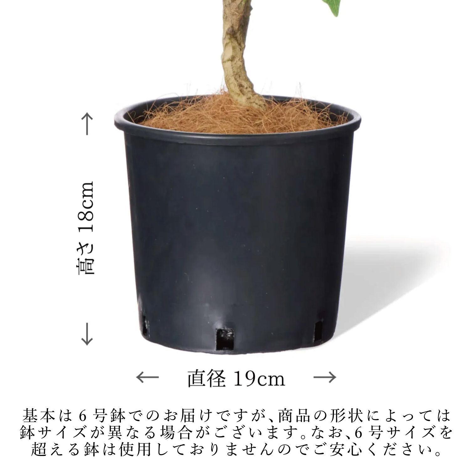 公式】ミックスN インナーポット 6個セット 観葉植物 フェイクグリーン