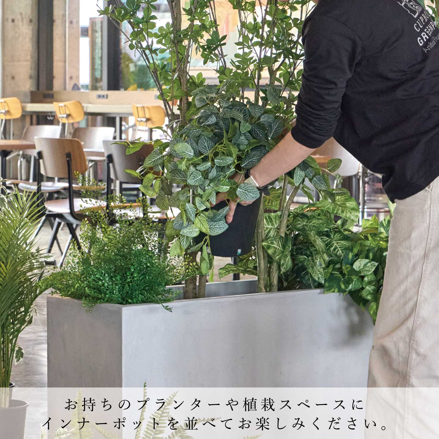 公式】ミックスN インナーポット 6個セット 観葉植物 フェイクグリーン