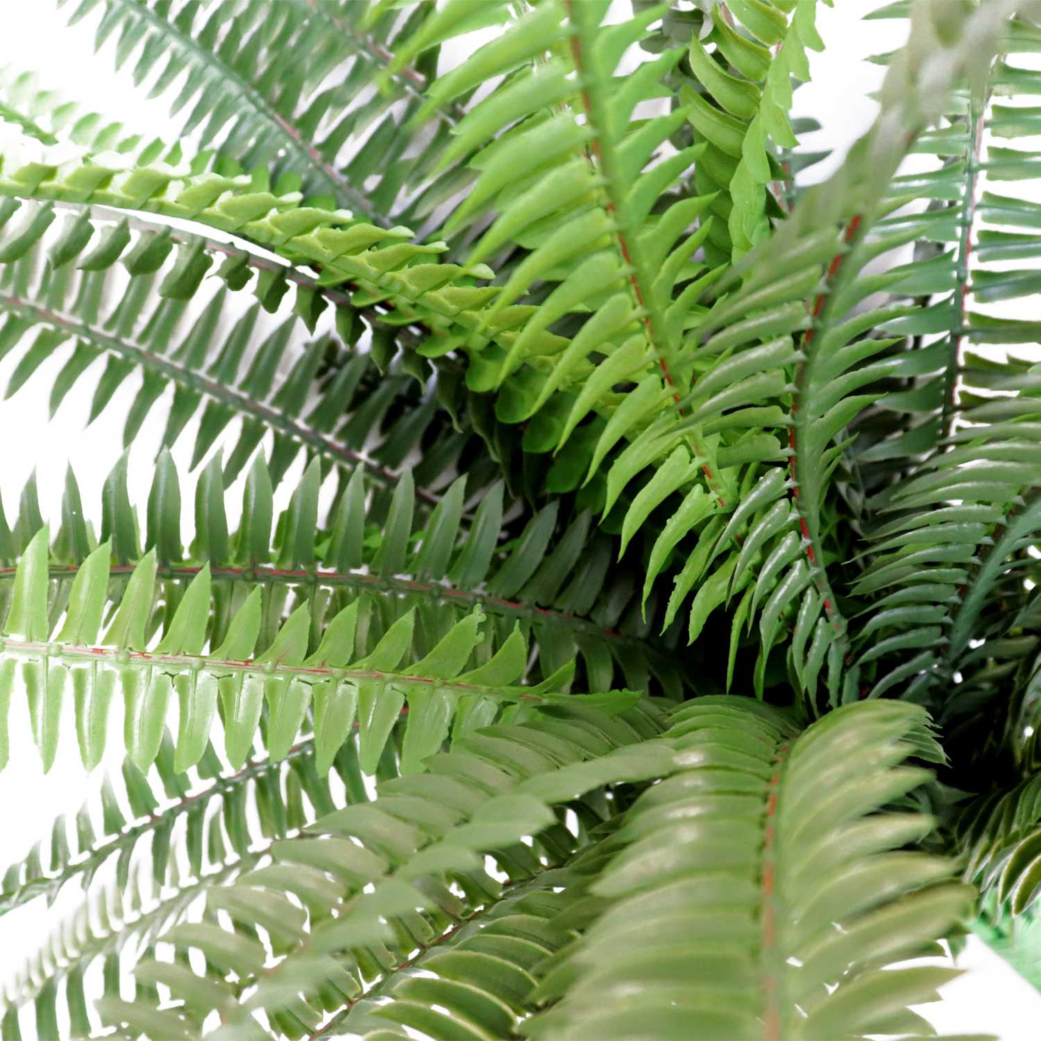 公式】シダ アイアンハンギング 観葉植物 フェイクグリーン