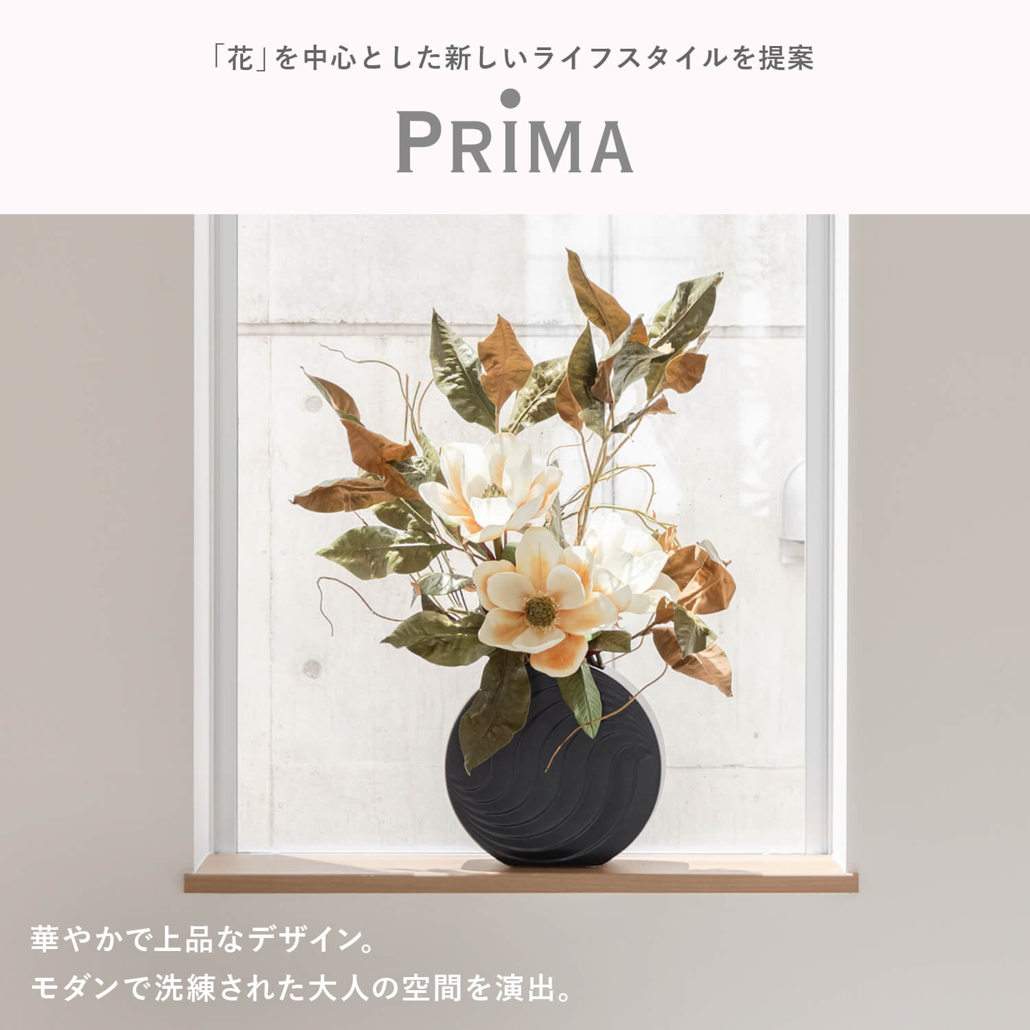 prima_info_main.jpg