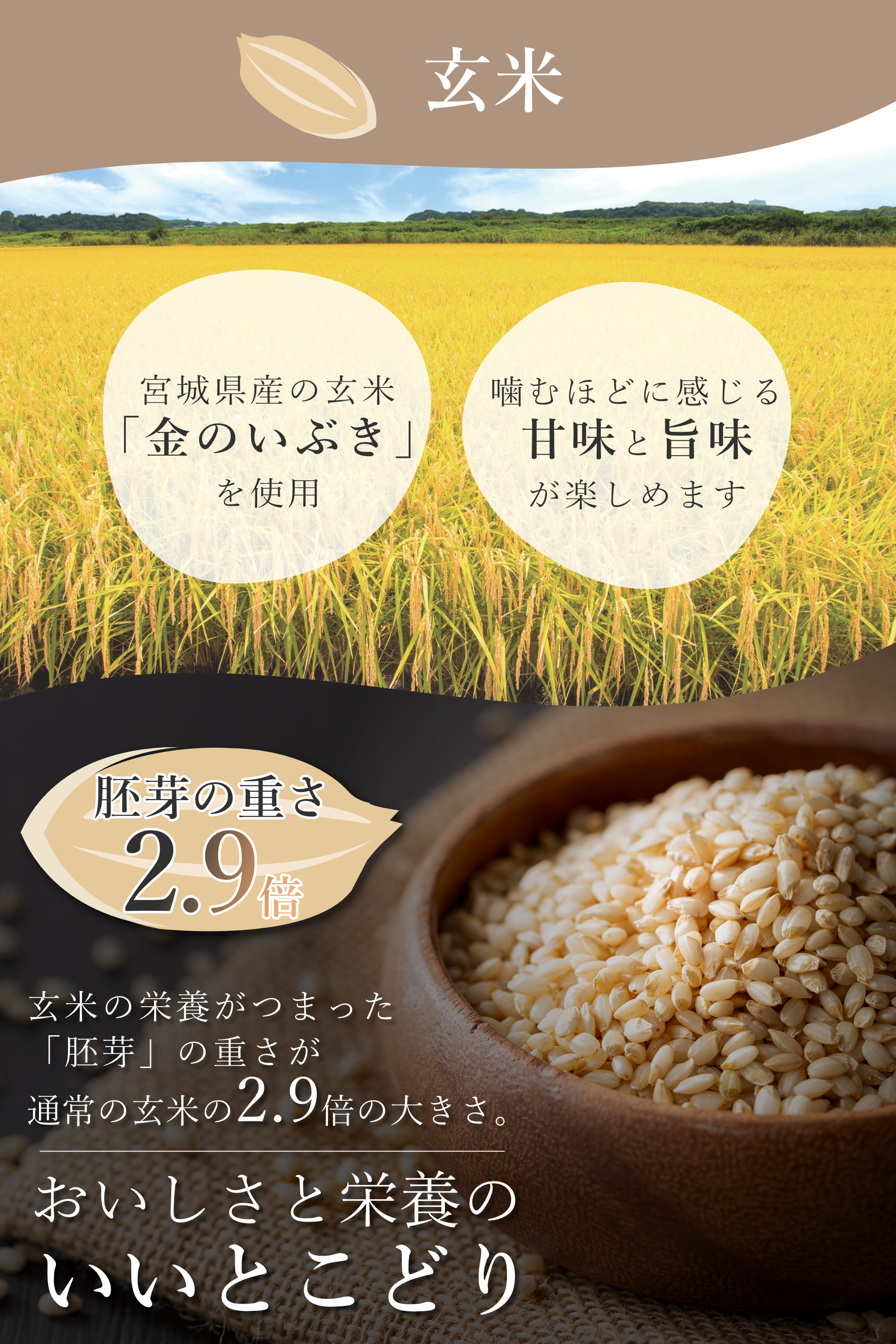 金賞健康米4種お試し