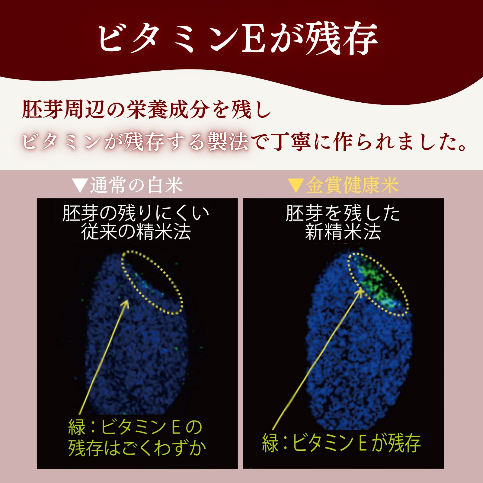 金賞健康米と玄米・赤飯