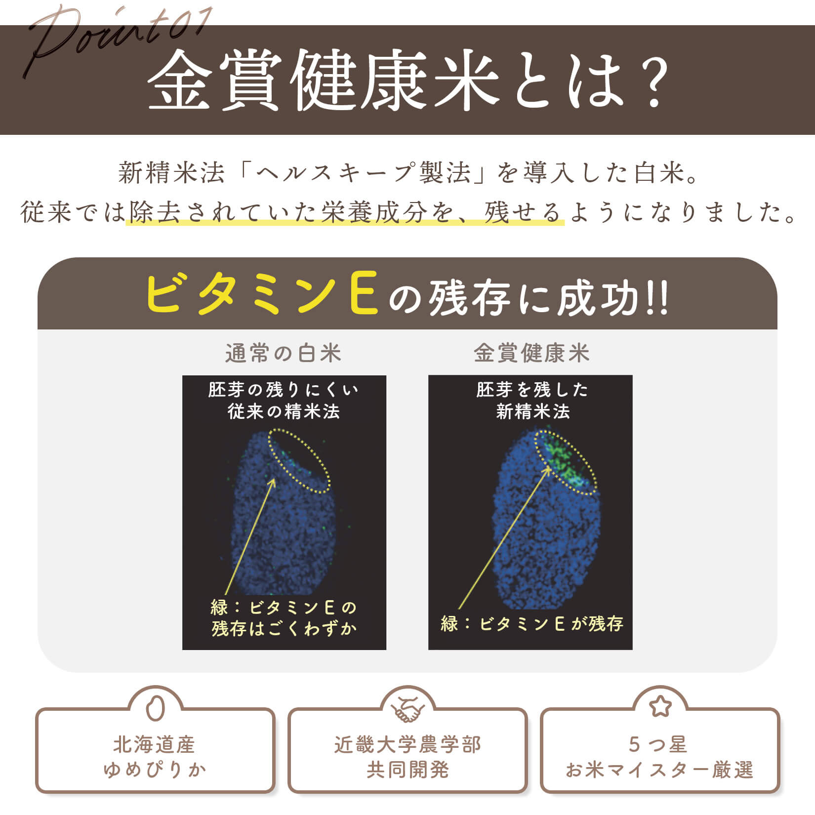 金賞の一膳