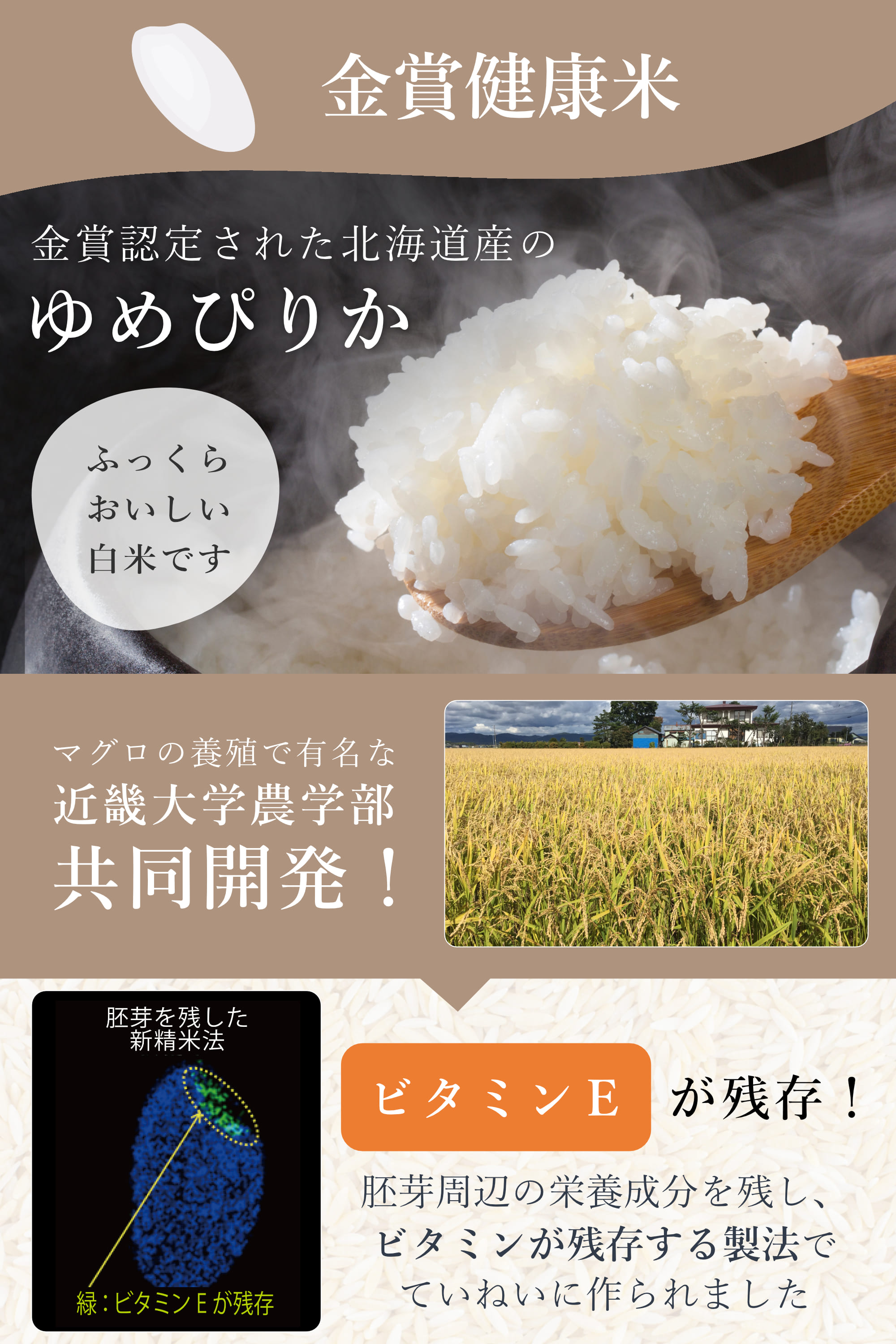 4種3