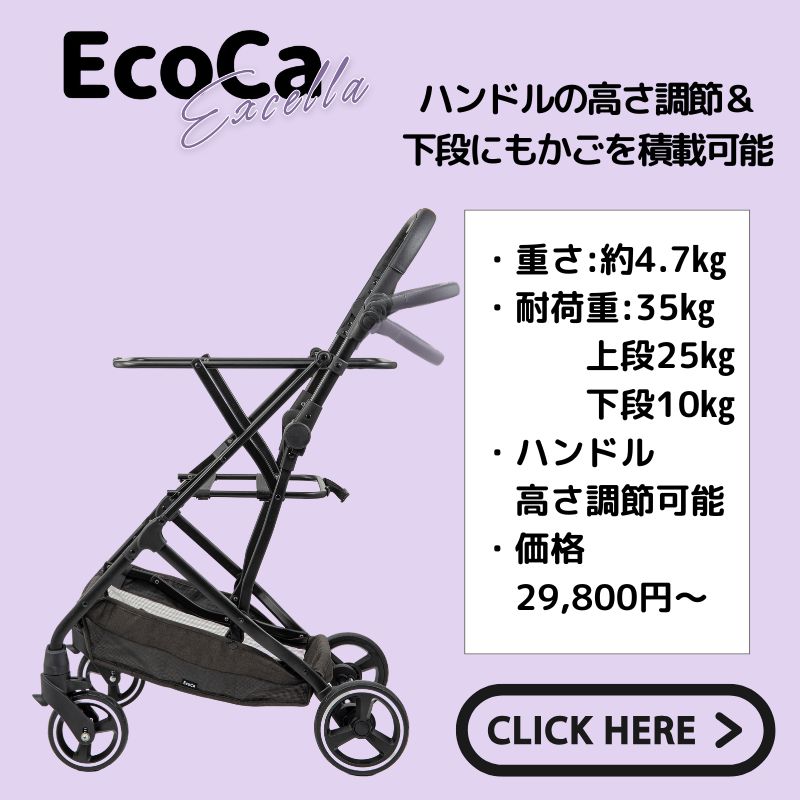 エクセラ
