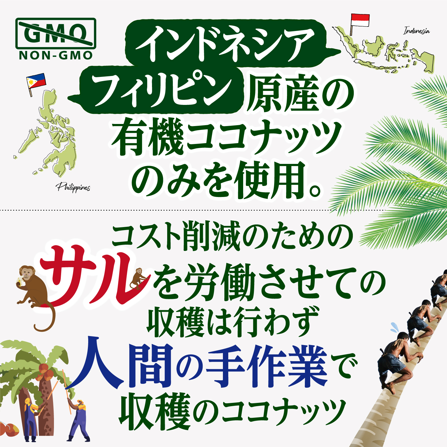MCTオイル
