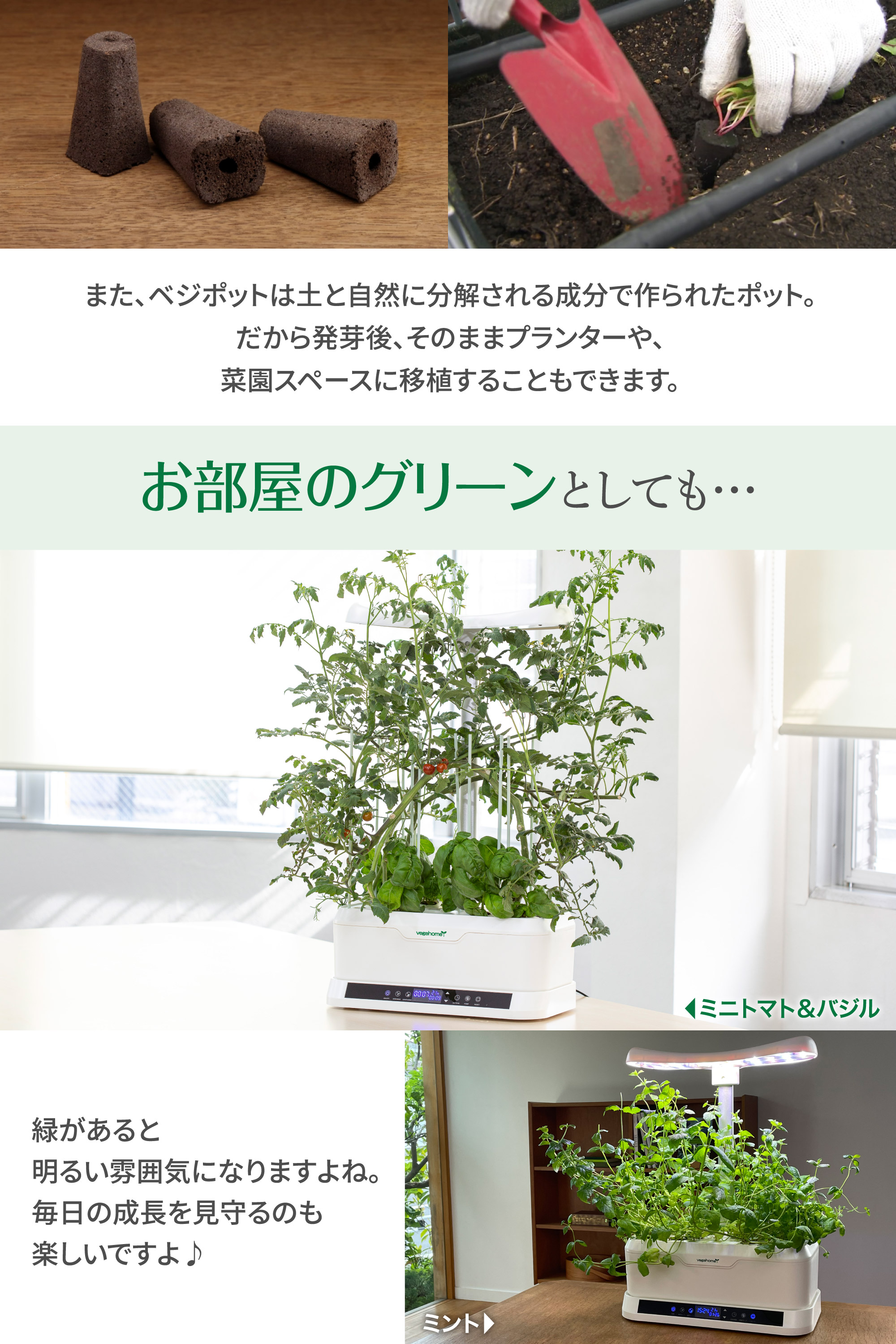 ベジホーム