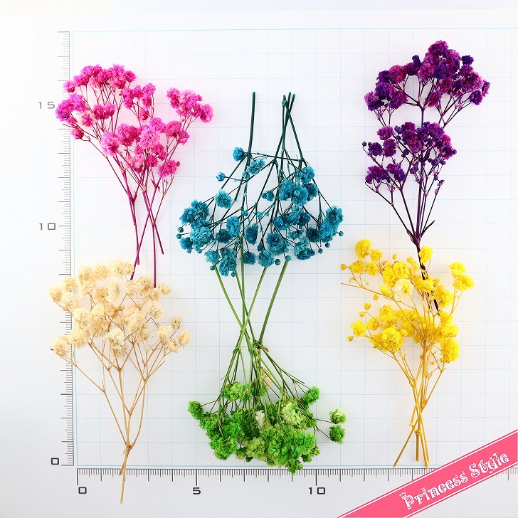 かすみ草 咲いた花 ドライフラワー ハンドメイド用 小分け 花材 6色 