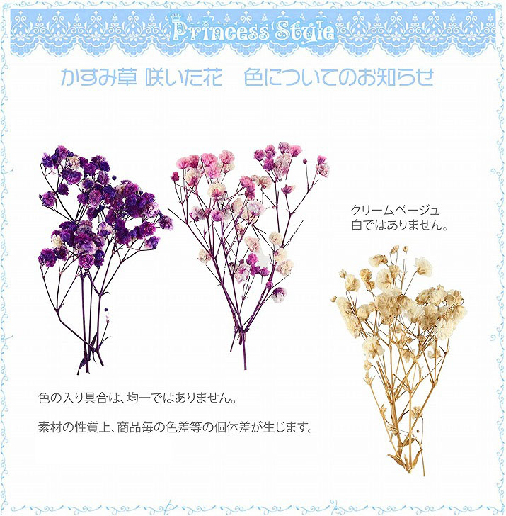かすみ草 咲いた花 ドライフラワー ハンドメイド用 小分け 花材 6色 