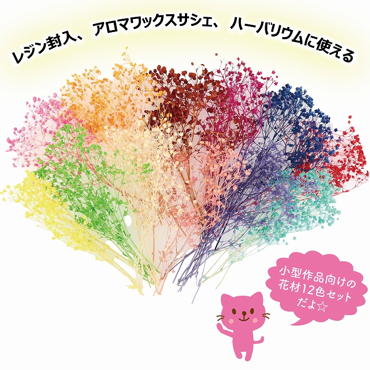 商品画像2