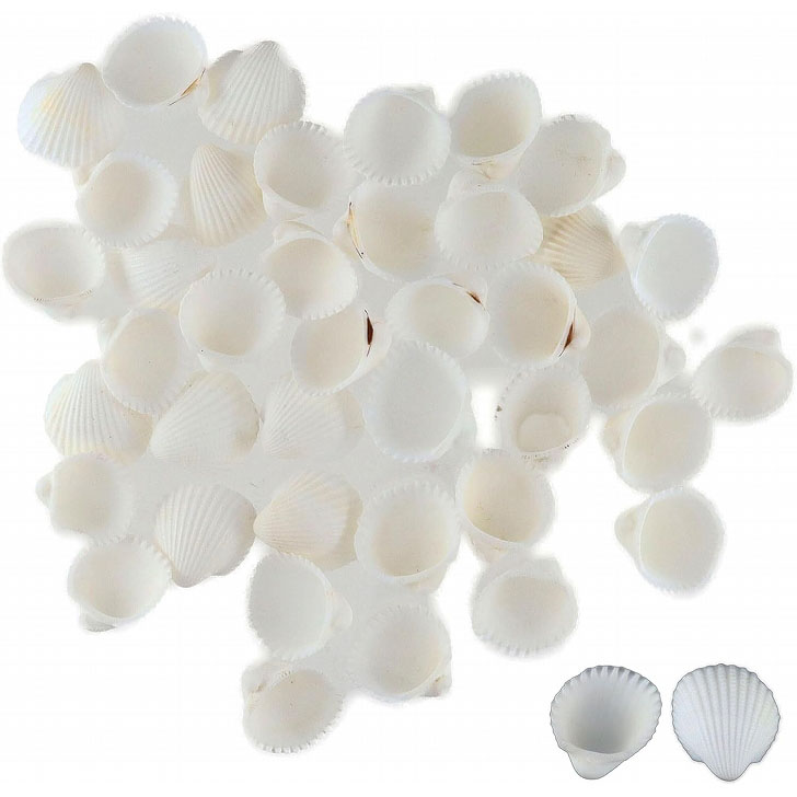 ✨天然素材ミックスビーチ 約500個マリン雑貨シェル 貝殻ハンドメイドDIY 61y+30TASeL._AC_UL210_SR210,
