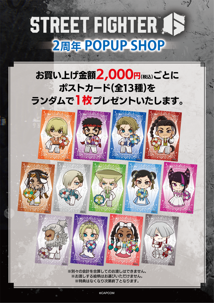プリンセスカフェショップYahoo!店 - 『ストリートファイター6
