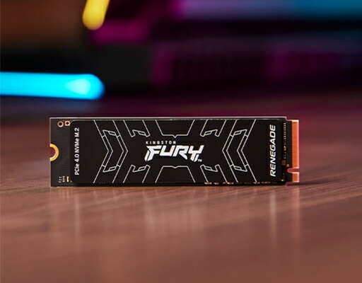 Kingston 【メーカー取り寄せ】キングストン FURY Renegade PCIe