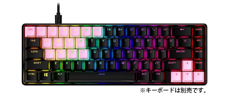 別売オプション品 HyperX Rubber Keycaps ラバーキーキャップ 19個セット US配列 全3色 519U1AA#ABA  519U0AA#ABA 519T6AA#ABA ハイパーエックス キートップ :519UAA-ABA:プリンストンダイレクト!店 通販  