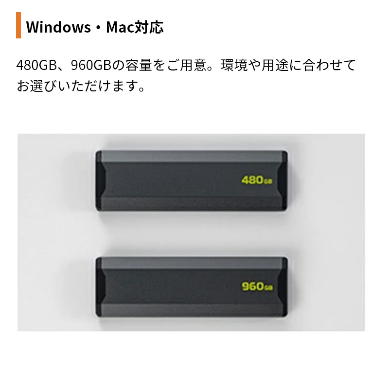 プリンストン 外付けSSD 240GB USB3.1 Gen 2 3D TLC NAND NVMe SSD PS4 PC Mac対応 PHD-PS24