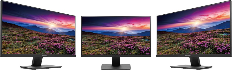 PRINCETON（プリンストン） 23.8インチ ワイド 液晶ディスプレイ 4系統