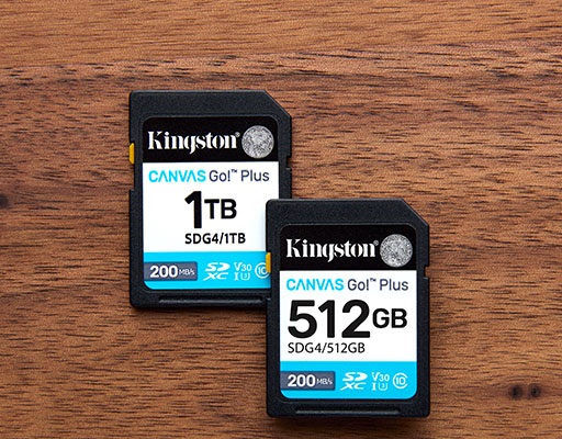 Kingston（キングストン） Canvas Go! Plus 64GB SD メモリカード UHS