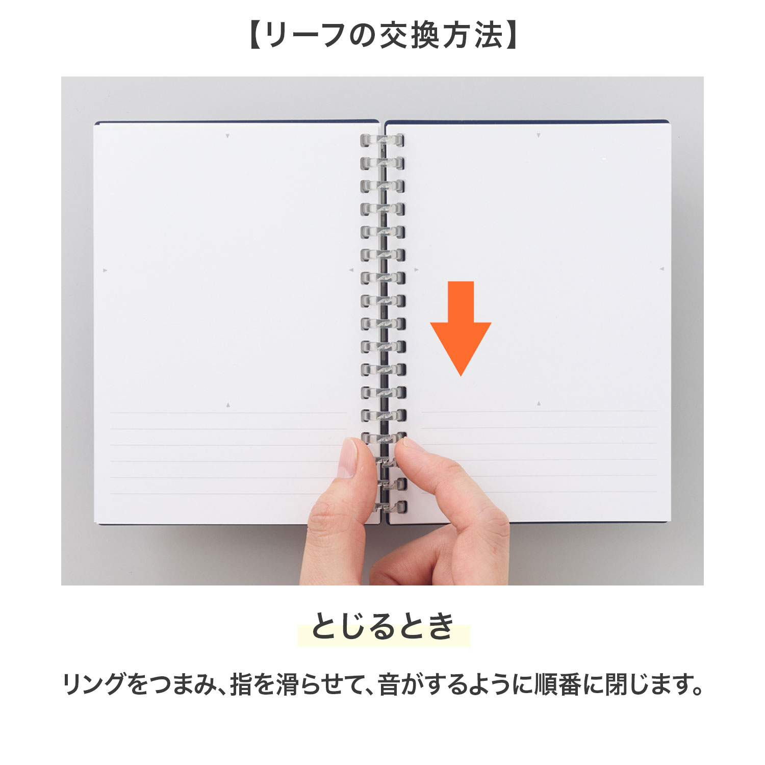 5のつく日ポイント10倍 リヒトラブ LIHIT LAB. オープンリングノート (適合リーフ) スタンプ用 交換リーフ N-1663TS | LIHIT LAB. | 02