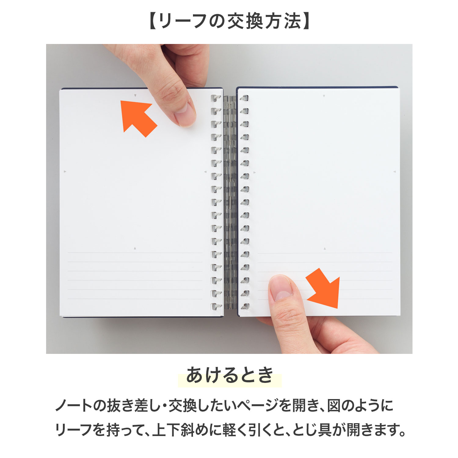 5のつく日ポイント10倍 リヒトラブ LIHIT LAB. オープンリングノート (適合リーフ) スタンプ用 交換リーフ N-1663TS | LIHIT LAB. | 01