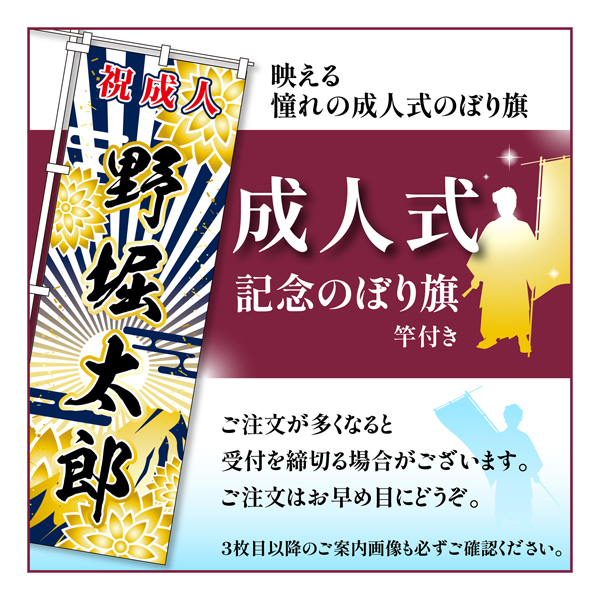 成人式 のぼり旗 ポール付き 成人式柄 60 富士 自由に名入れ オリジナル のぼり 祝成人 注文簡単 納期相談 600mm幅