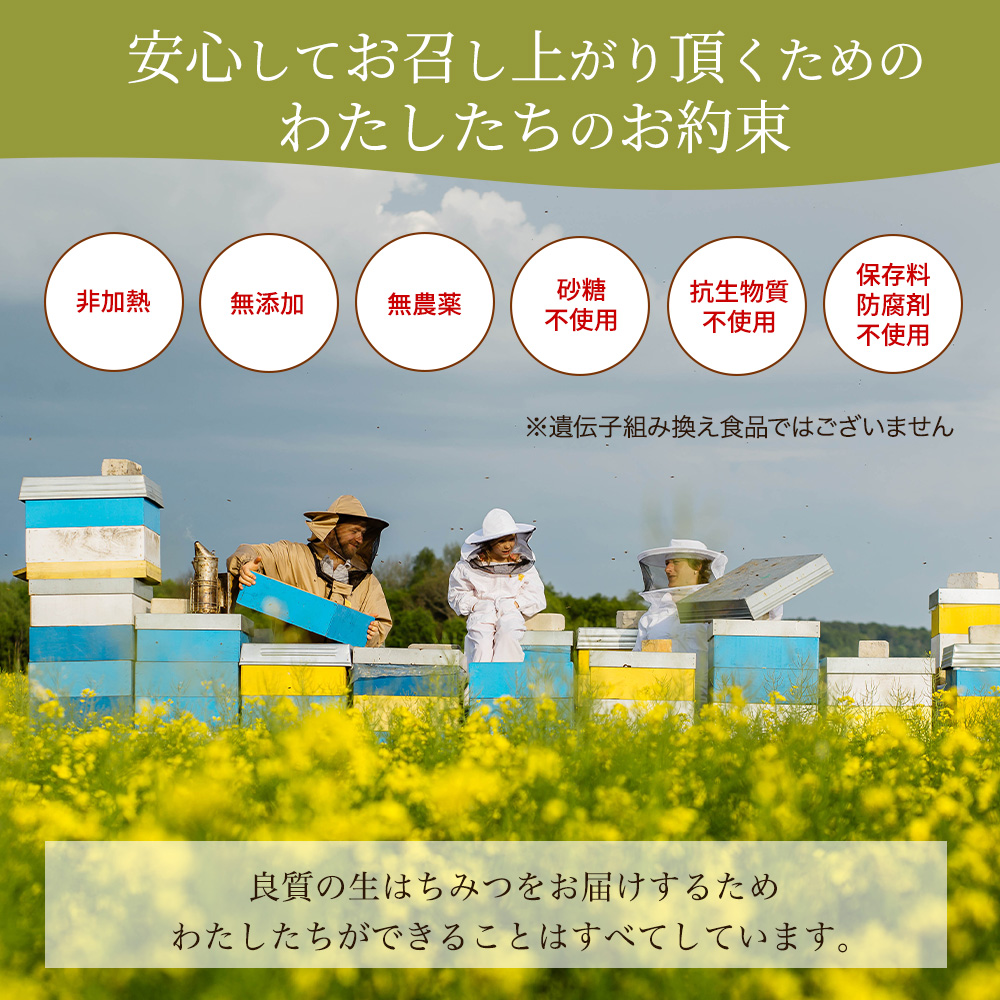 リンデン 高級「生」はちみつ 200g 調味料 健康食品 北欧 リトアニア産 無添加 : nohagiandc02 : PRMARKETPLACE -  通販 - Yahoo!ショッピング