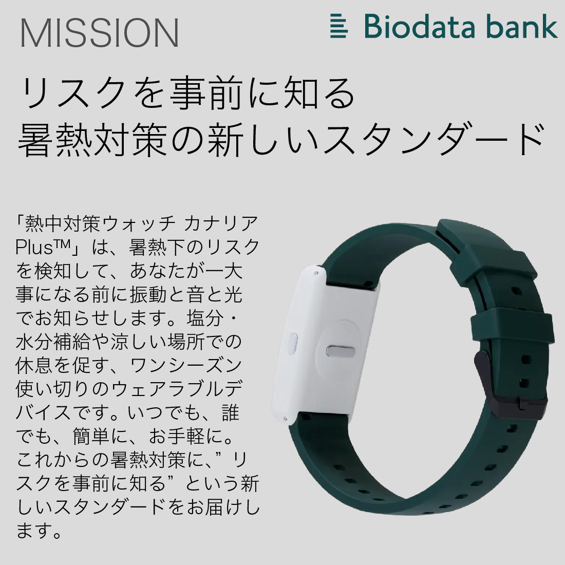 カナリアPlus 2026年モデル 100個セット 熱中対策ウォッチ BiodataBank