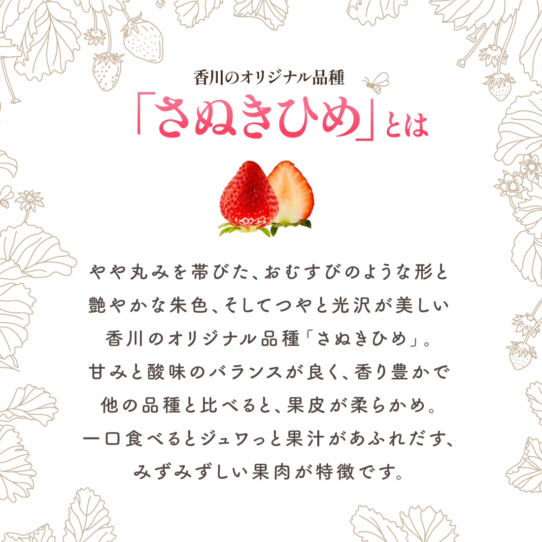 さぬきひめの特徴