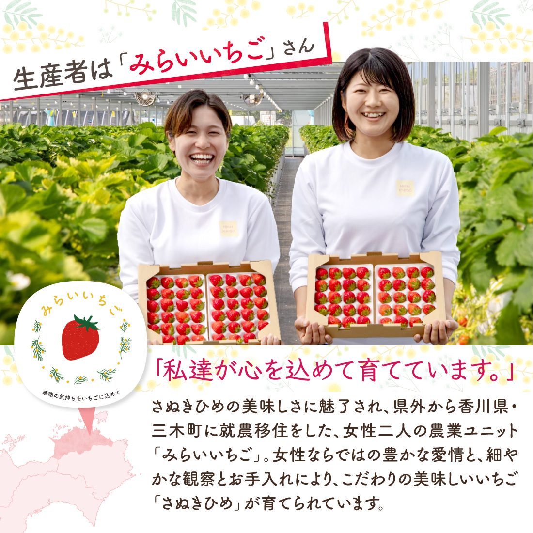 みらいいちご 生産者紹介