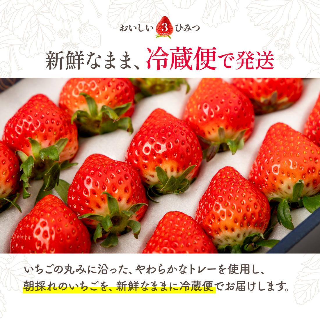 生産者のこだわり3