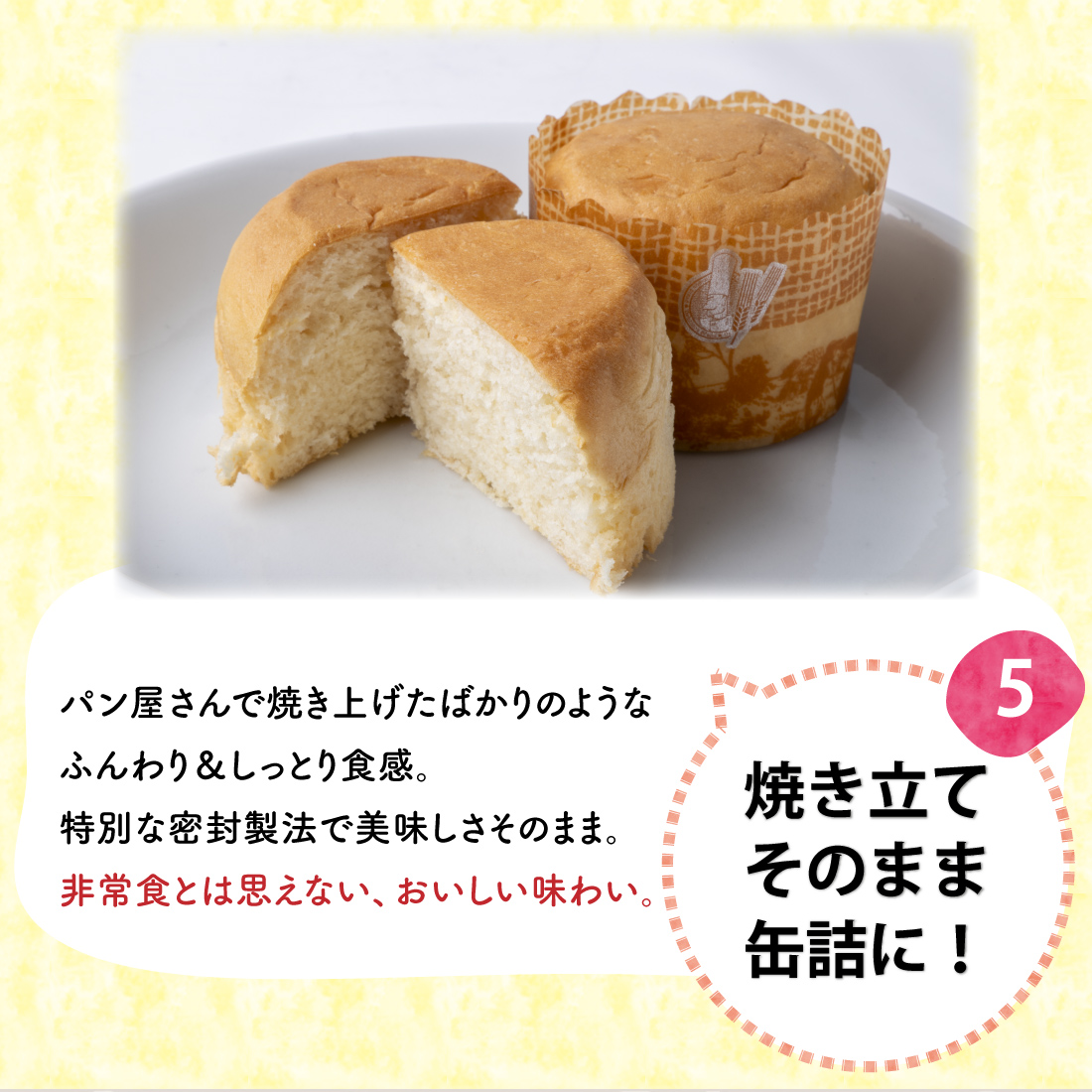 在庫有 非常食 5年保存 ぱんカンぱん プレーン 6缶セット 日本製 卵不