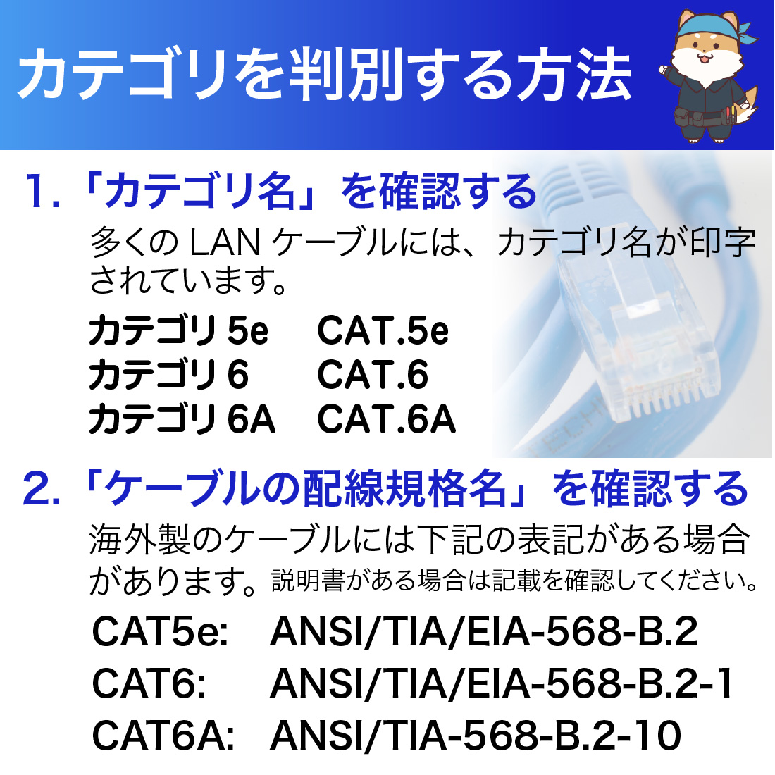 LAN中継コネクタ CAT5e対応 高耐久 UTP対応 8極8芯 RJ45 STORIA ストリア｜pro-pochi｜10