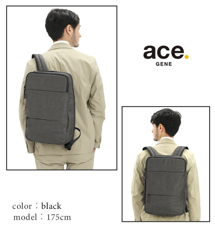 acegene-106_img2.jpg