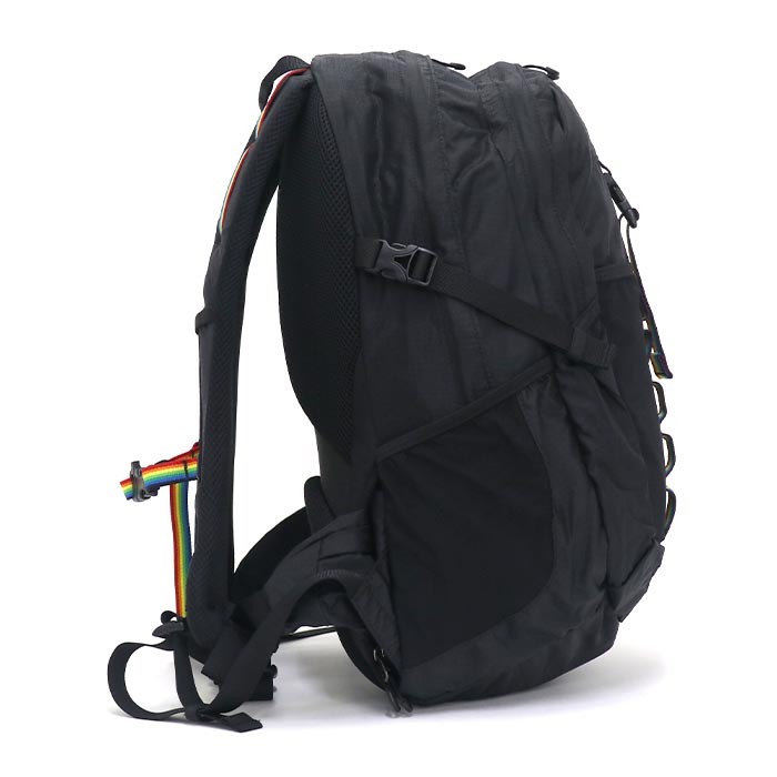 美品★CHUMS SPRING DALE 25L バックパック レインカバー収納 CHUMS リュック チャムス 正規品 25L レインカバー ハーネス