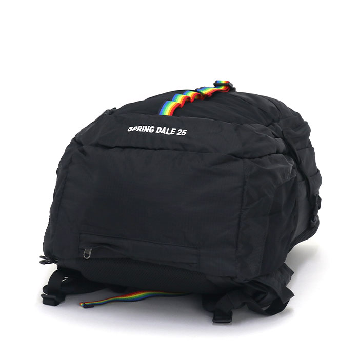 CHUMS リュックサック チャムス 正規品 25L A4 メンズ