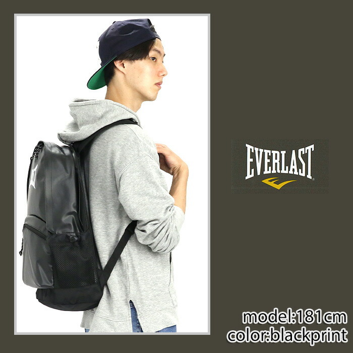 everlast-004_img2.jpg