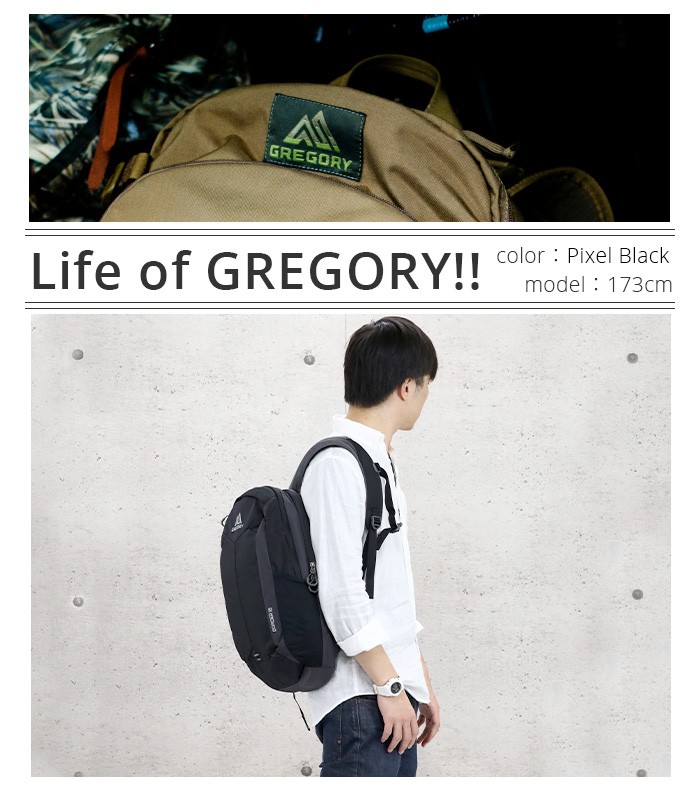 リュックサック グレゴリー GREGORY リュック 18L ボーダー BORDER 18