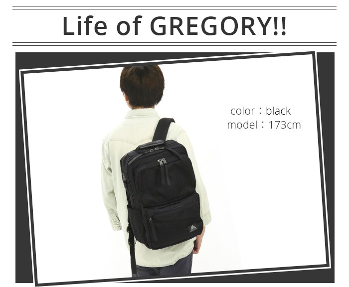 ティーニー リュック GREGORY グレゴリー 22 COVERT MISSION DAY