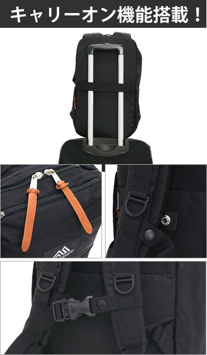 GREGORY ☆ リュック グレゴリー エブリデイプラス 25L 正規品